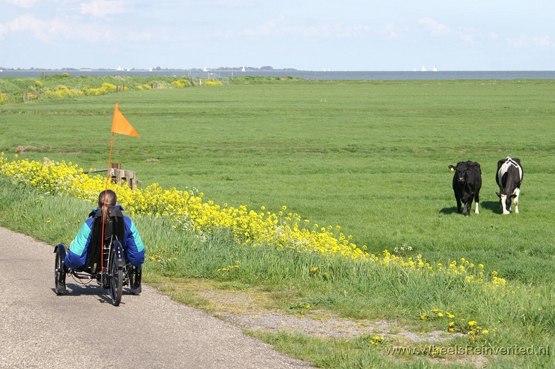 You are currently viewing steintrikes in holland
